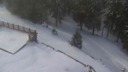 Přístup na běžeckou trať