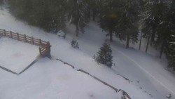 Přístup na běžeckou trať