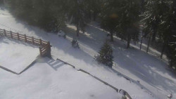 Přístup na běžeckou trať