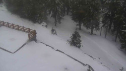 Přístup na běžeckou trať