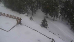 Přístup na běžeckou trať