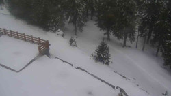 Přístup na běžeckou trať