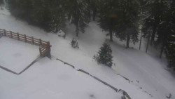 Přístup na běžeckou trať