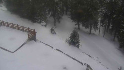 Přístup na běžeckou trať