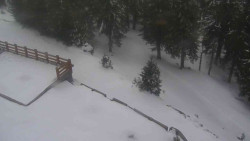 Přístup na běžeckou trať