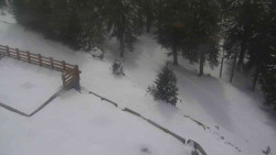 Přístup na běžeckou trať