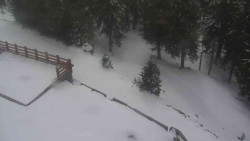 Přístup na běžeckou trať