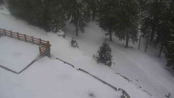 Přístup na běžeckou trať