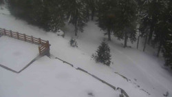 Přístup na běžeckou trať