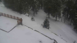 Přístup na běžeckou trať