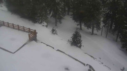 Přístup na běžeckou trať