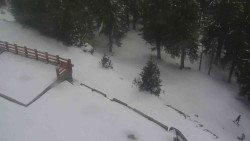 Přístup na běžeckou trať