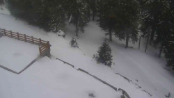 Přístup na běžeckou trať