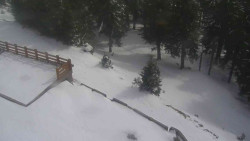 Přístup na běžeckou trať