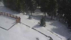 Přístup na běžeckou trať