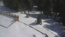 Přístup na běžeckou trať