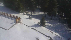 Přístup na běžeckou trať