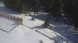 Přístup na běžeckou trať