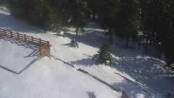 Přístup na běžeckou trať