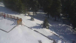 Přístup na běžeckou trať