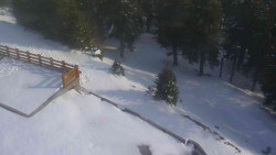 Přístup na běžeckou trať