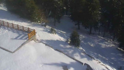 Přístup na běžeckou trať