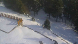 Přístup na běžeckou trať