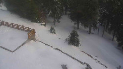 Přístup na běžeckou trať