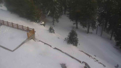 Přístup na běžeckou trať