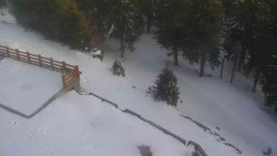 Přístup na běžeckou trať