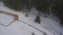 Přístup na běžeckou trať