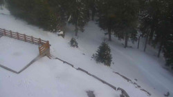 Přístup na běžeckou trať