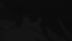 Přístup na běžeckou trať