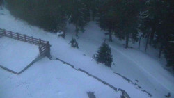 Přístup na běžeckou trať