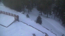 Přístup na běžeckou trať