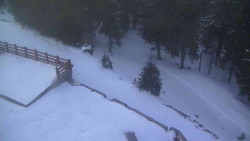 Přístup na běžeckou trať