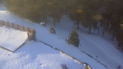 Přístup na běžeckou trať