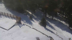 Přístup na běžeckou trať