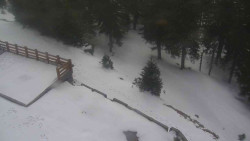 Přístup na běžeckou trať