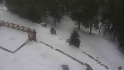 Přístup na běžeckou trať