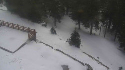 Přístup na běžeckou trať