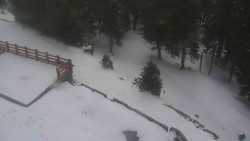 Přístup na běžeckou trať