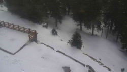 Přístup na běžeckou trať