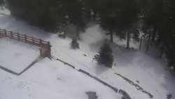 Přístup na běžeckou trať