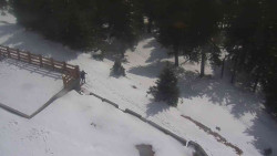 Přístup na běžeckou trať