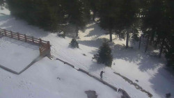 Přístup na běžeckou trať