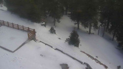 Přístup na běžeckou trať