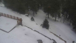 Přístup na běžeckou trať