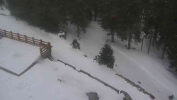 Přístup na běžeckou trať