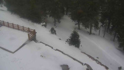 Přístup na běžeckou trať